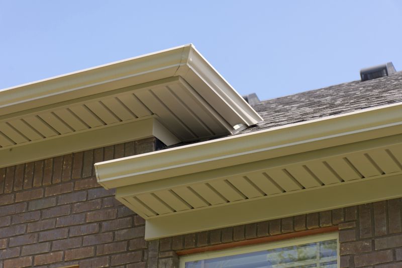 Soffit Damage Repair in Overland Park, KS